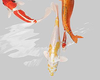 《原始袭变》新预告展示如何利用恐龙扰乱对手